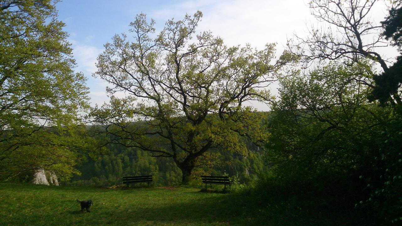 Berghaus Knopfmacher Fridingen an der Donau エクステリア 写真